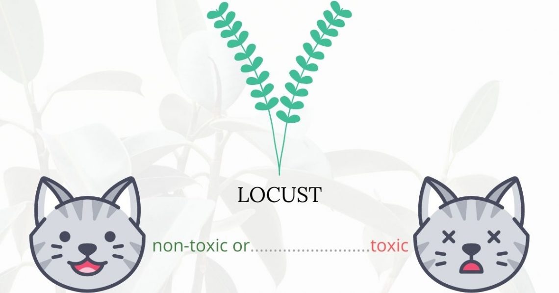 Is Locust Toxic To Cats? 