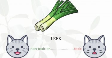 Is Leek or Elephant Garlic Toxic To Cats? 