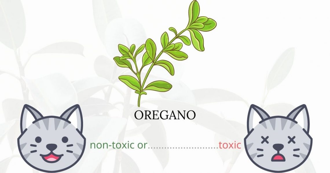 Is Oregano Toxic To Cats?