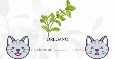 Is Oregano Toxic To Cats?