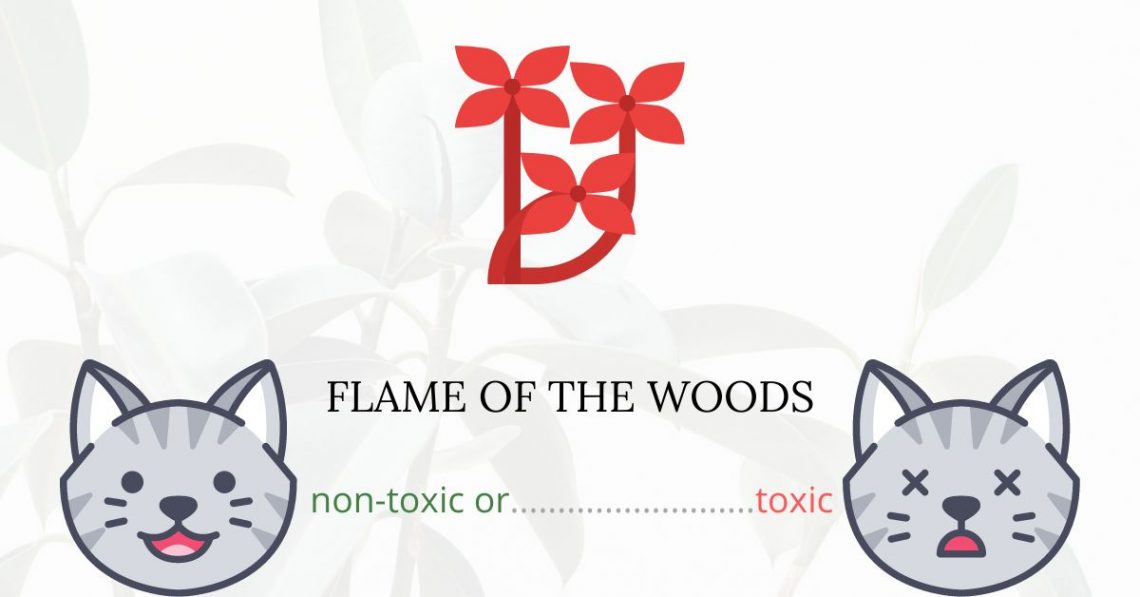 Is Flame of the Woods or Maui Sunset Toxic For Cats