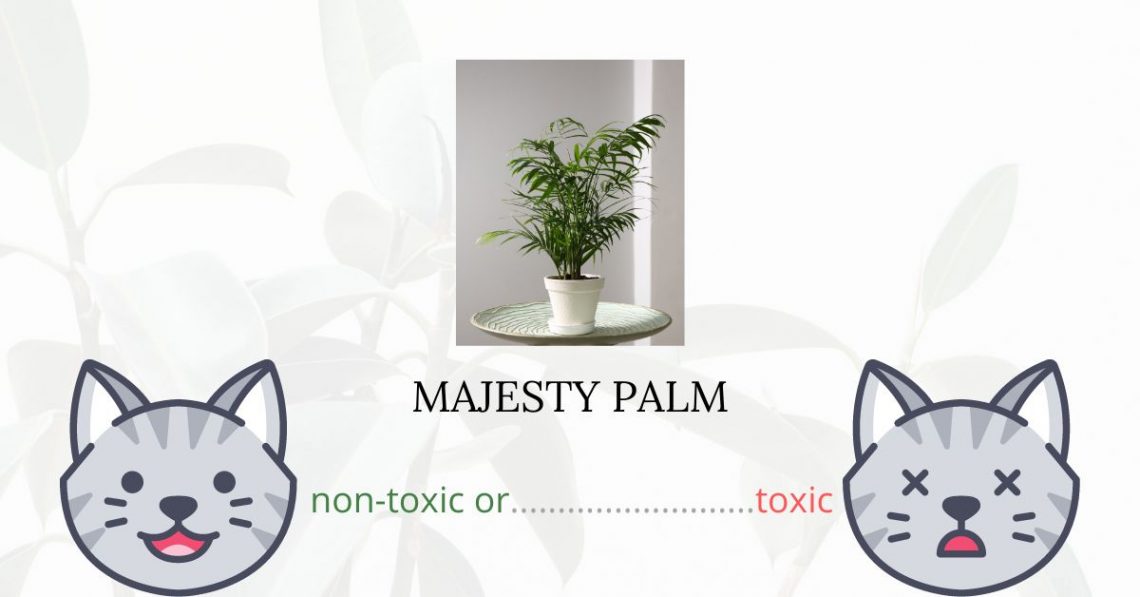 Is Majesty Palm Toxic For Cats