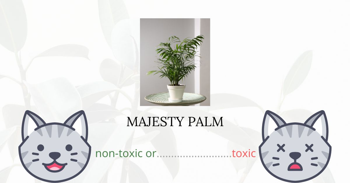 Is Majesty Palm Toxic For Cats?