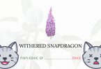 Is Withered Snapdragon or Sierra Snapdragon Toxic For Cats