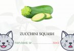 Is Zucchini Squash Toxic For Cats