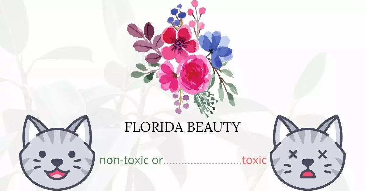 Is Florida Beauty Toxic To Cats? 