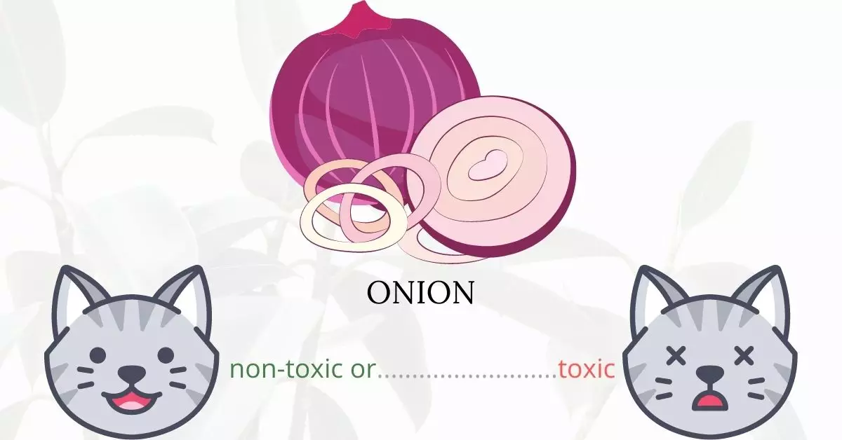 Is Onion Toxic To Cats? 