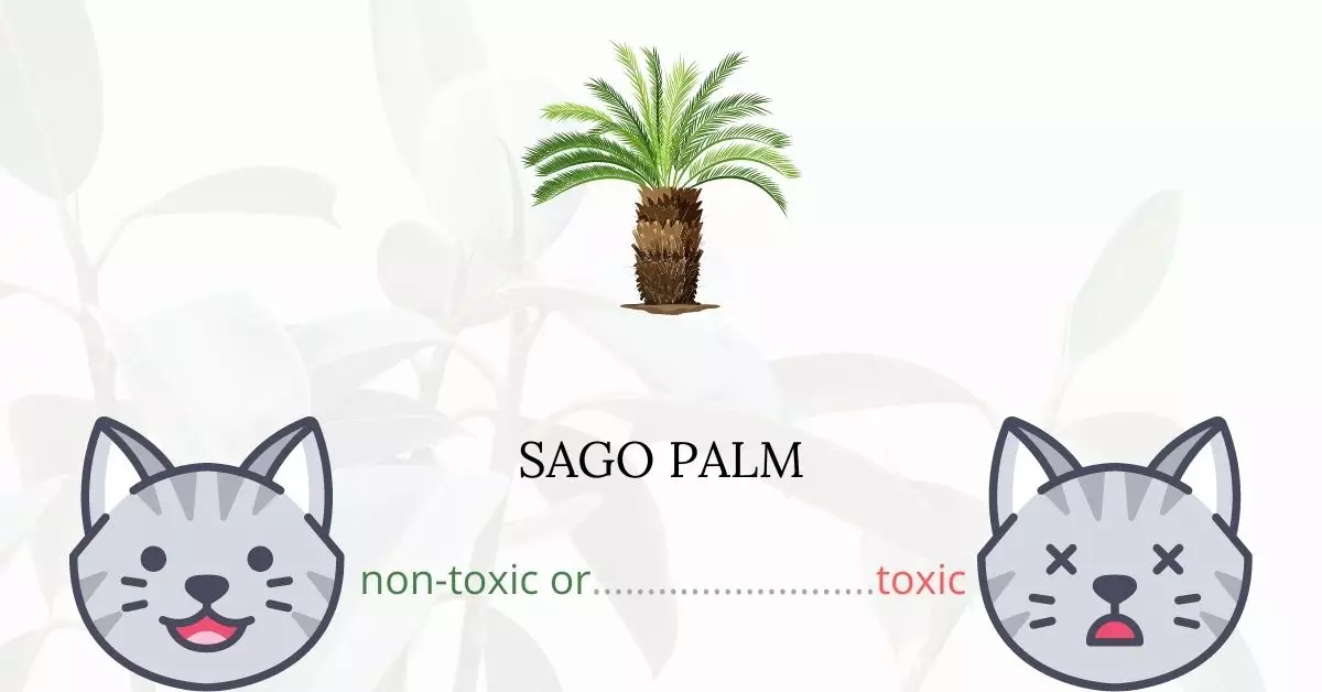 Is Sago Palm Toxic to Cats