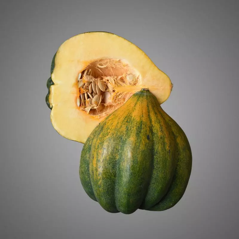 Acorn Squash is not toxic to cats