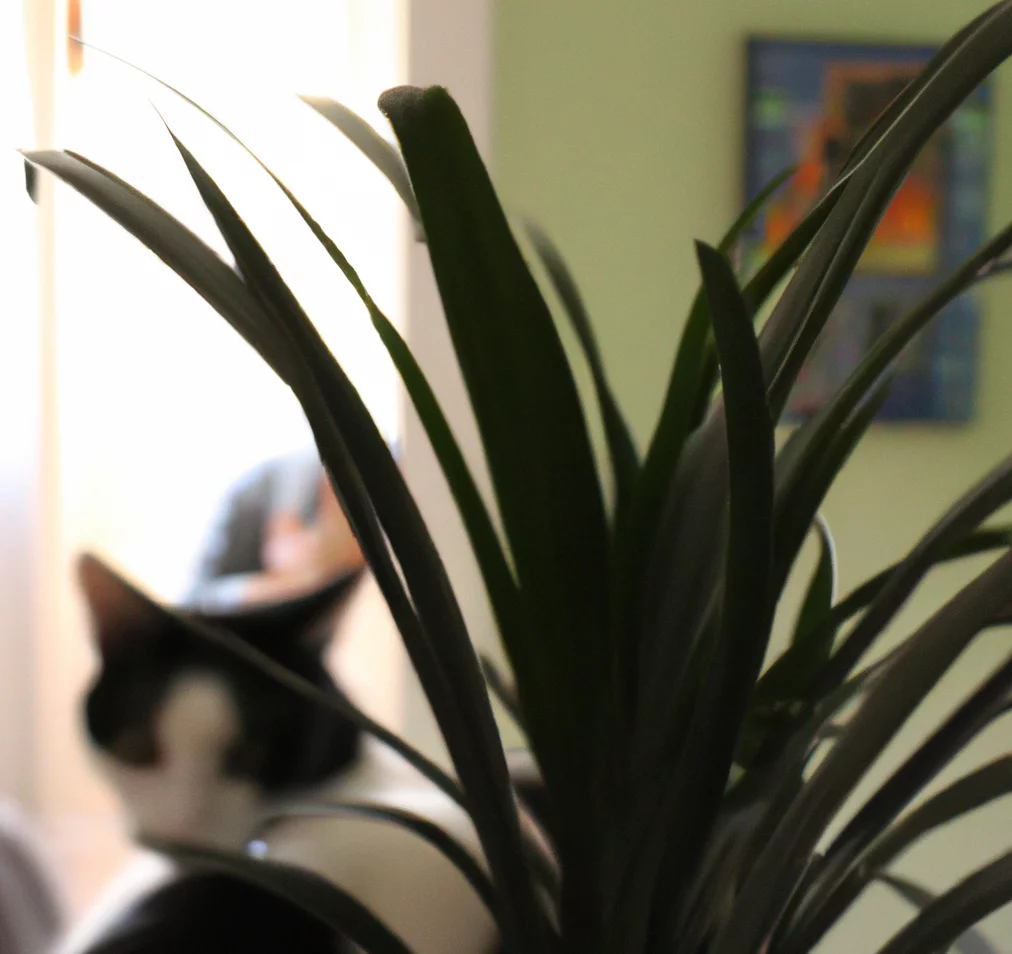 Bottle palm with a cat nearby