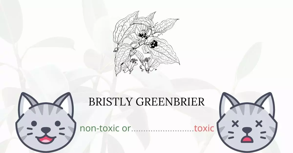 Is Bristly Greenbrier Toxic For Cats