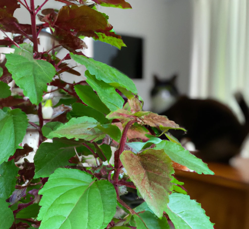 Cat sits behind Copperleaf