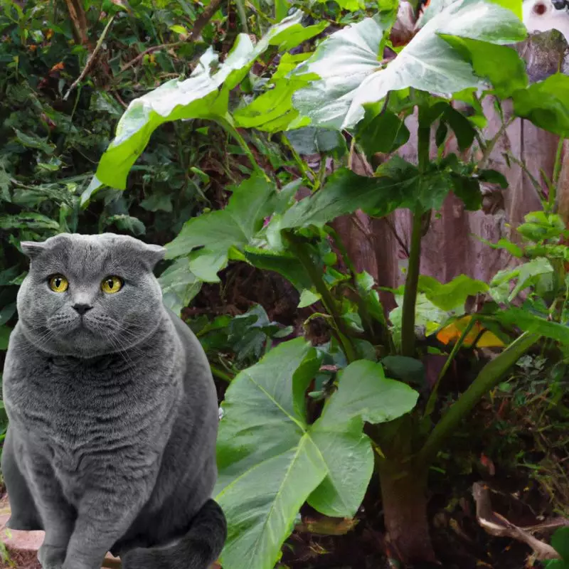 Cat sits near Umbrella Leaf