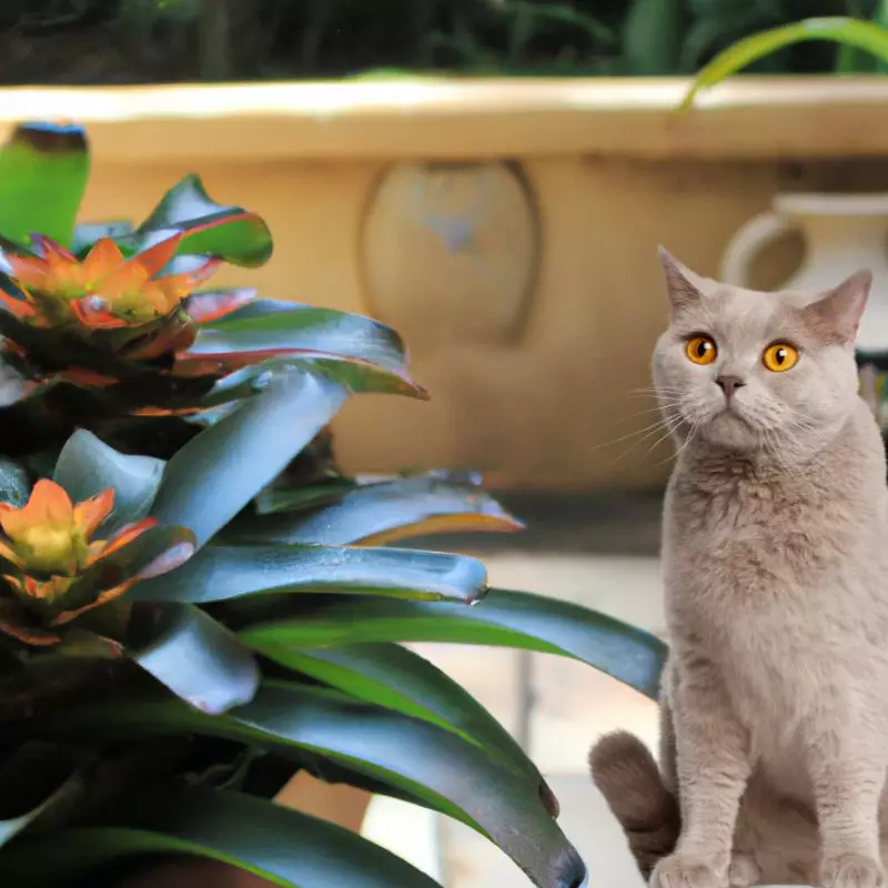 Cat sits near bromeliad