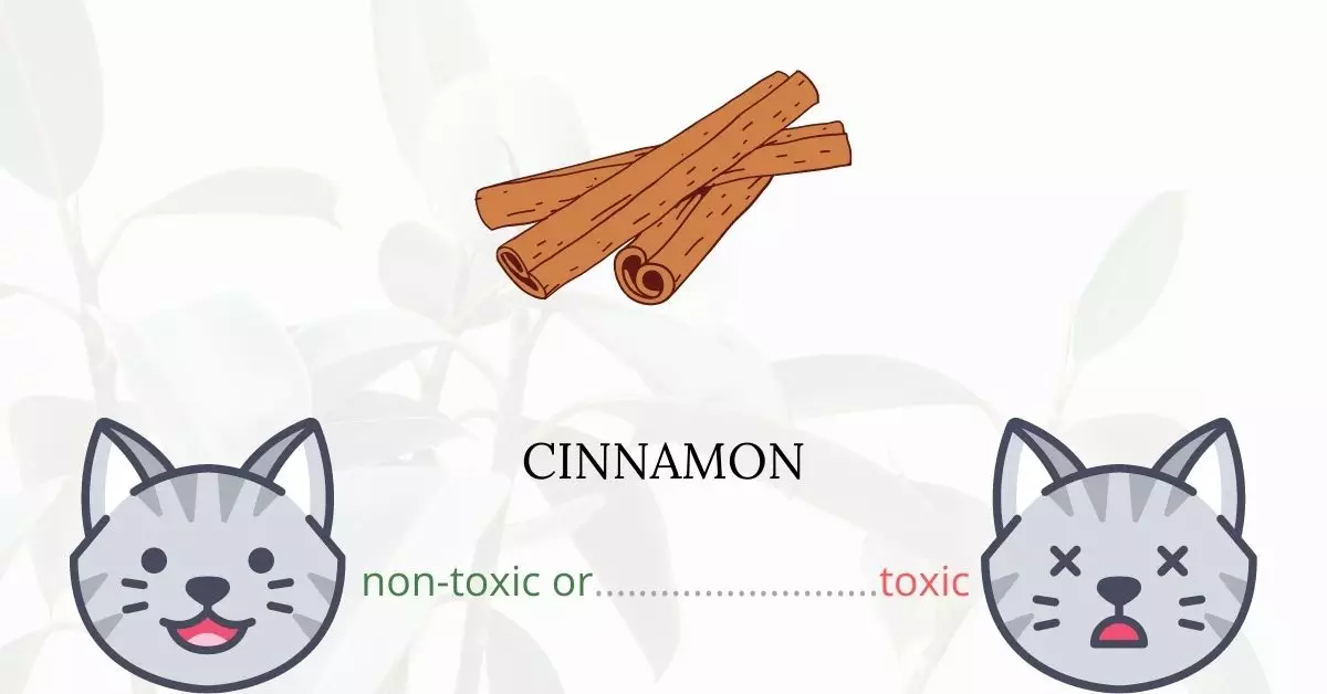 Is Cinnamon Toxic For Cats