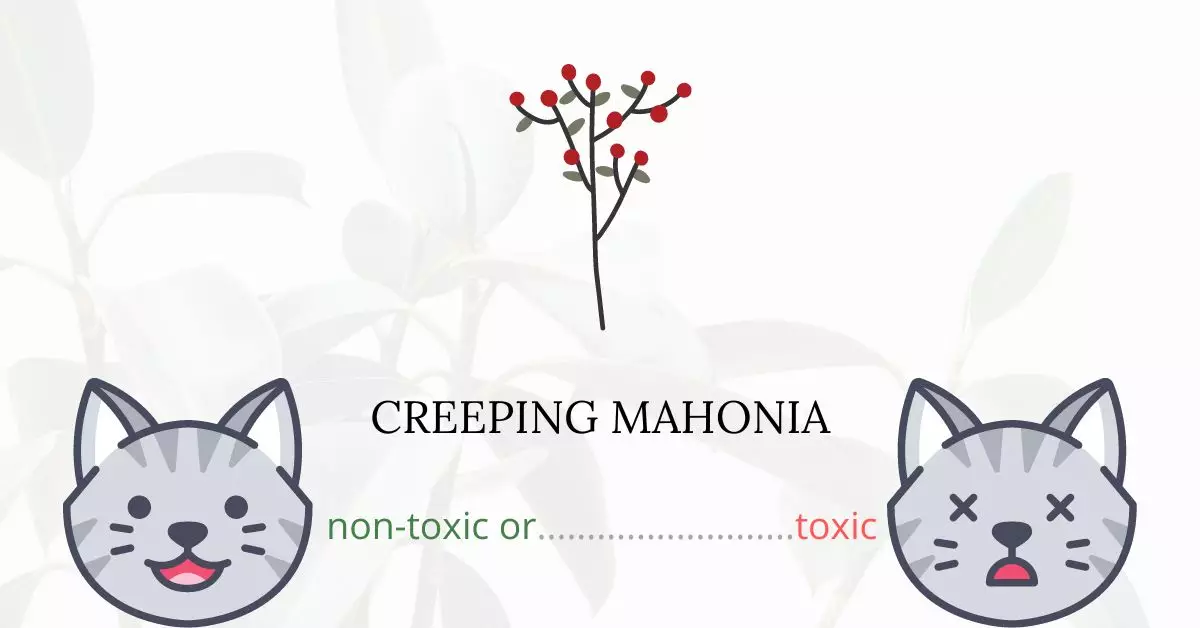 Is Creeping Mahonia Toxic For Cats?