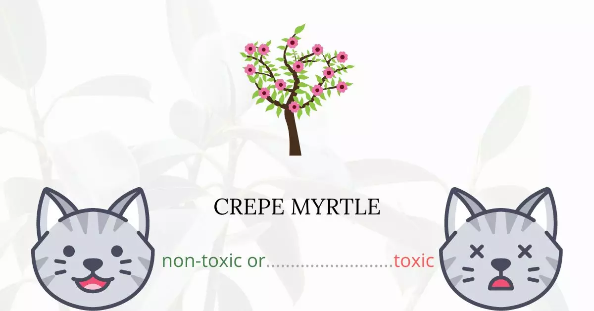 Is Crepe Myrtle Toxic For Cats