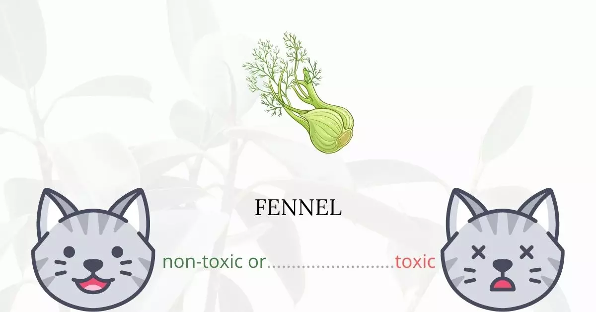 Is Fennel Toxic For Cats