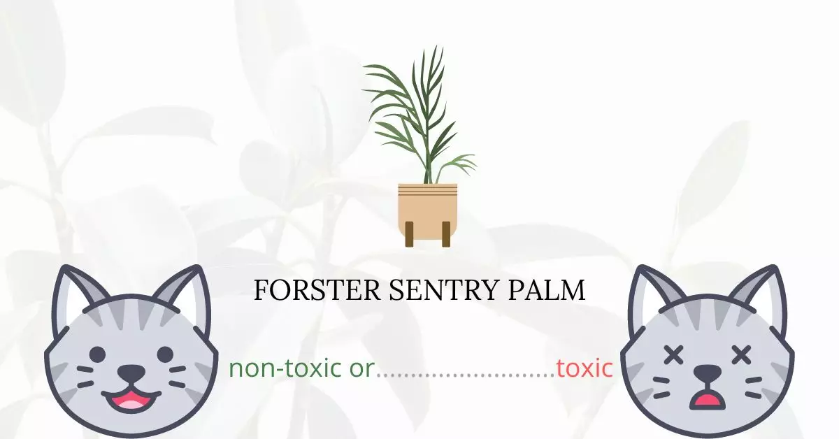 Is Forster Sentry Palm Toxic For Cats