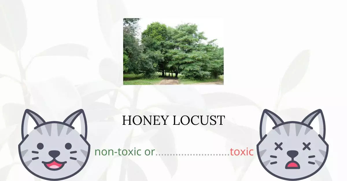 Is Honey Locust Toxic For Cats