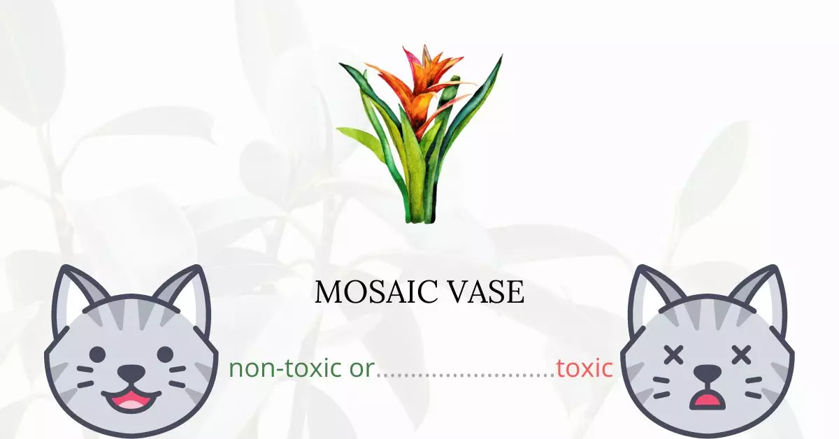 Is Mosaic Vase Toxic For Cats