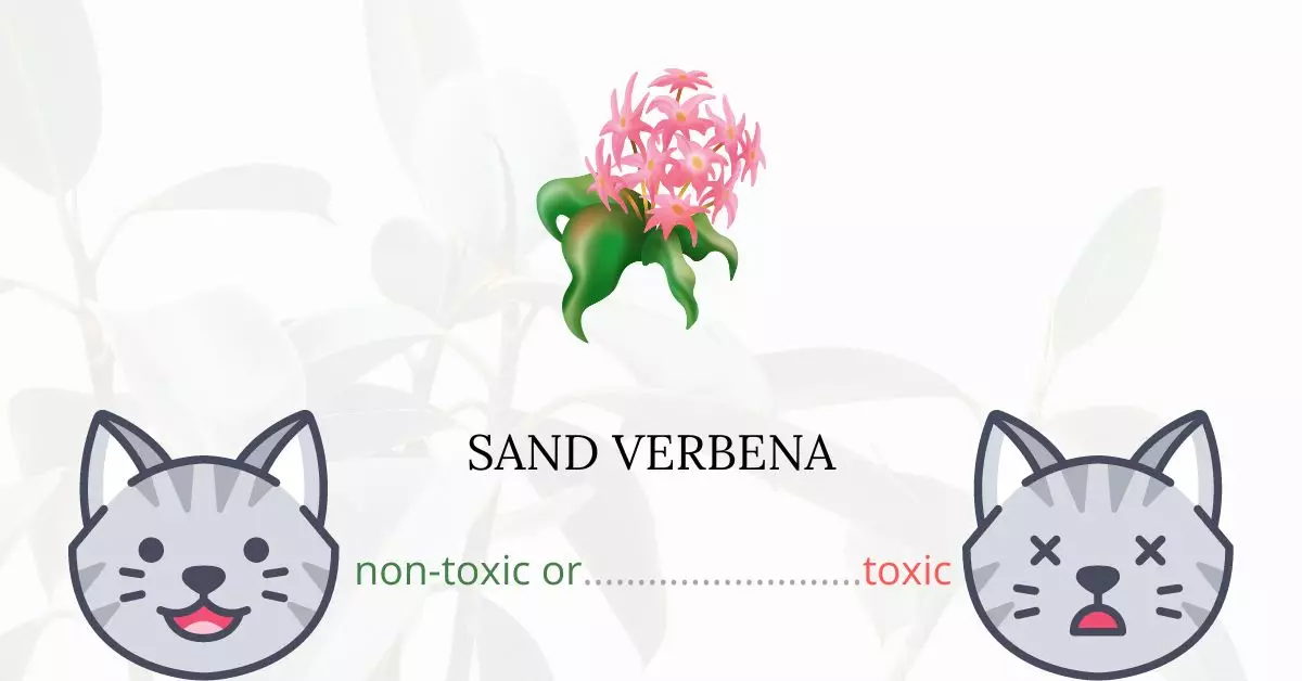 Is Sand Verbena Toxic For Cats