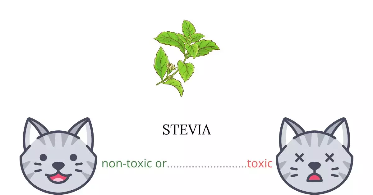 Is Stevia or Sugar Leaf Toxic For Cats